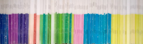 112 db. Populart füzet