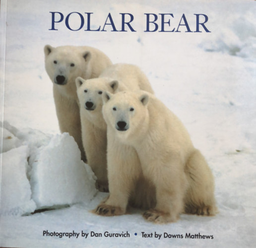 Dan, Matthews, Downs Guravich - Polar Bear (Jegesmedve - angol nyelvű)