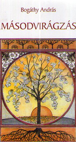 Bog�thy Andr�s - "M�sodvir�gz�s"