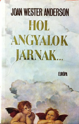 Joan Wester Anderson - Hol angyalok járnak...