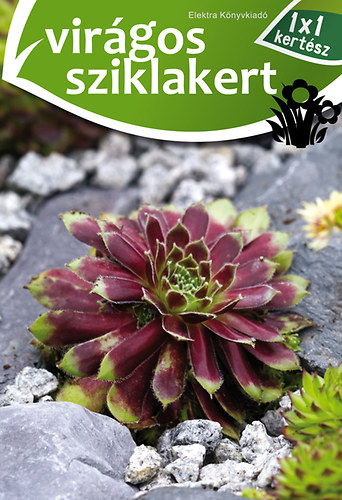 Virgos sziklakert - 1x1 kertsz