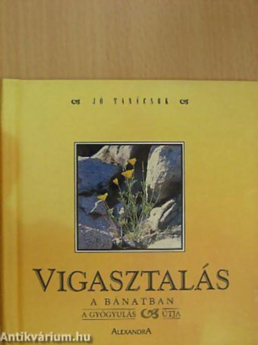 Ben Alex - Török Judit - Vigasztalás a bánatban A GYÓGYULÁS ÚTJA - Sorozatcím:Jó tanácsok