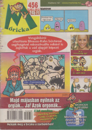 Ismeretlen Szerz - Mricka 456