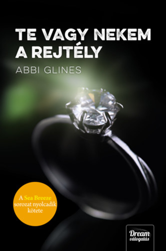 Abbi Glines - Te vagy nekem a rejtly