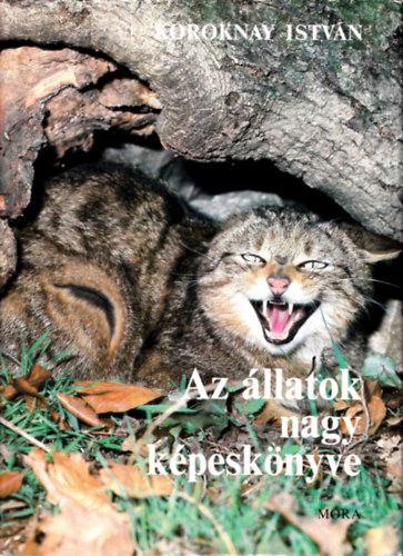 Koroknay Istvn - Az llatok nagy kpesknyve