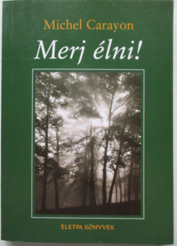 Michel Carayon - Merj lni!
