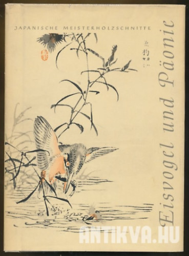 Eisvogel und Ponie