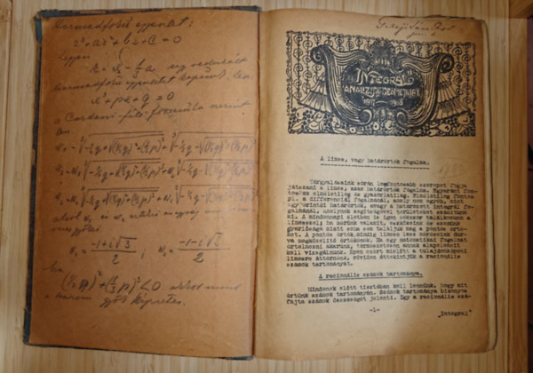 Integráló analízis és geometria I. 1917-1918