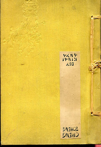 Cheng Tseng - Egy k�nai anya