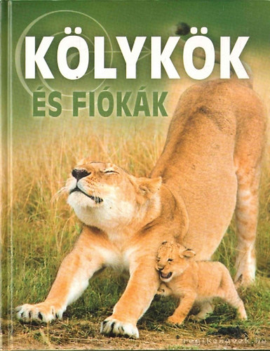 D�nsz Judit - K�lyk�k �s fi�k�k