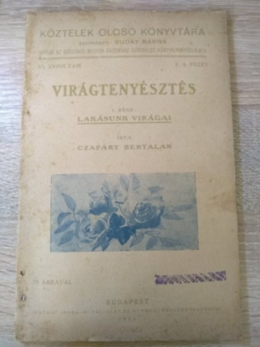 Czap�ry Bertalan - Vir�gteny�szt�s