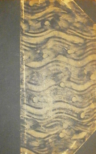 Gustave Flaubert - Egy fiatalember t�rt�nete