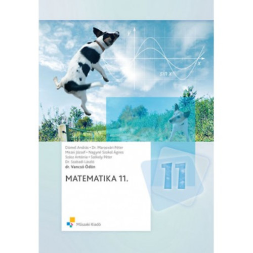 Szabadi Lszl; Vancs dn - Matematika 11. osztlyosok szmra