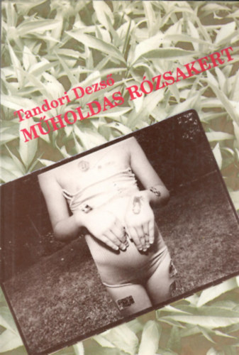 Tandori Dezs� - M�holdas r�zsakert