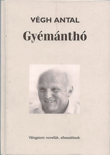 Végh Antal - Gyémánthó - Válogatott novellák, elbeszélések