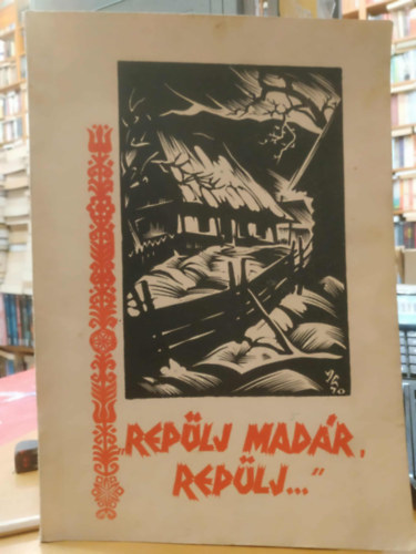 Imets Dénes-Imets László - Repülj madár, repülj... - Menasági népdalok és népballadák