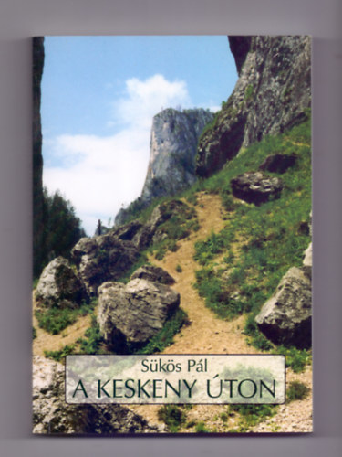 Sükös Pál - A keskeny úton - Regény az evangéliumi ébredés idejéből