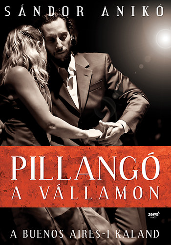 S�ndor Anik� - Pillang� a v�llamon