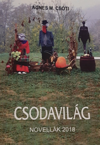 gnes M. Csti - Csodavilg