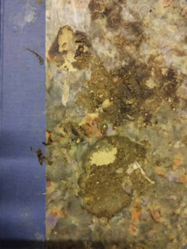 Osv�th Gedeon - Reviczky Gyula