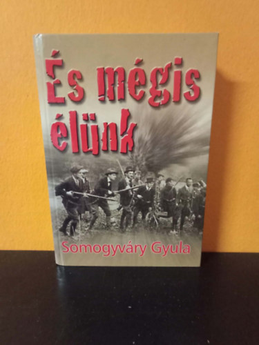 Vitéz Somogyváry Gyula (Gyula Diák) - És mégis élünk - A Rongyos Gárda küzdelmei (második kiadás)