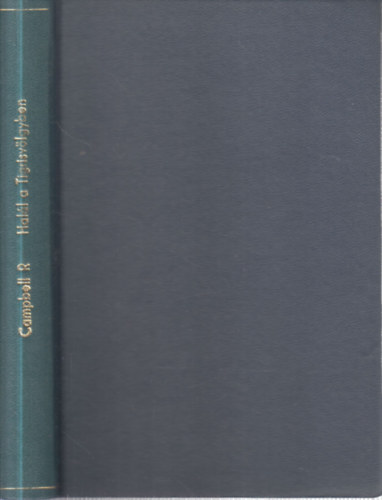 Reginald Campbell - Halál a Tigrisvölgyben (1 pengős regények)