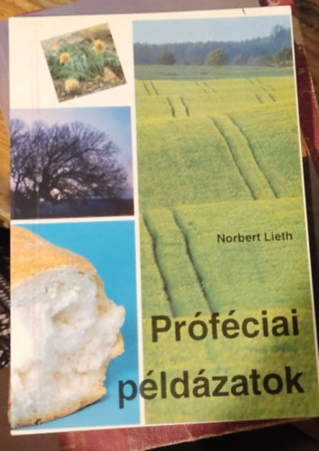 Norbert Lieth - Próféciai példázatok