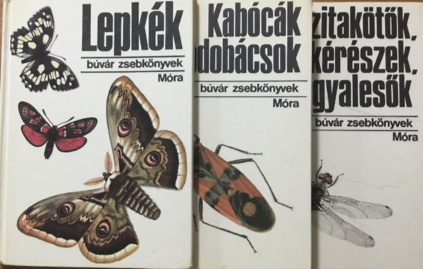 Lepkk + Szitaktk, krszek, hangyalesk + Kabck, bodobcsok  Bvr zsebknyvek (3 ktet)