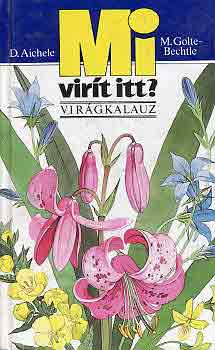 M. Golte-Bechtle D. Aichele - Mi vir�t itt?