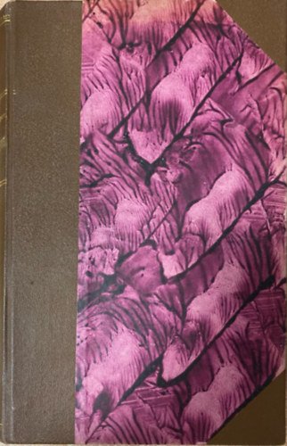 Korcsmáros Nándor - Ezüstváros