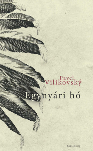 Pavel Vilikovsky - Egyny�ri h�