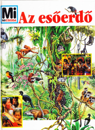 Andrea Mertiny - Az es�erd� - Mi micsoda?