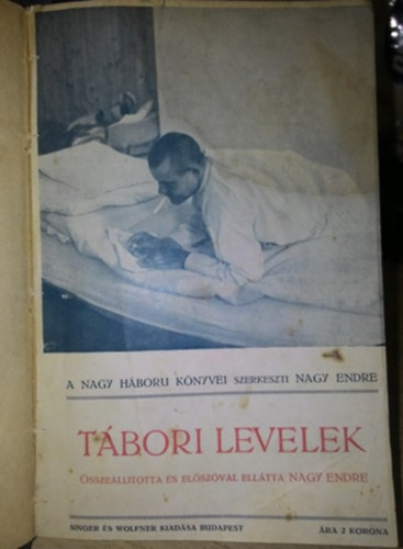 Nagy Endre  (szerk.) - Tbori levelek