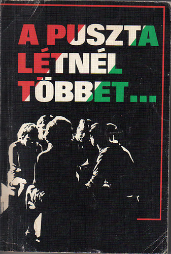 Csia Lajos - A puszta l�tn�l t�bbet... - Az �j Testamentum