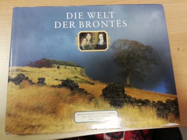 James Birdsall - Die Welt der Brontes