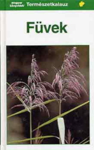 Gerhard; Bruno P. Kremer; Grau, Jrke Rambold - Fvek