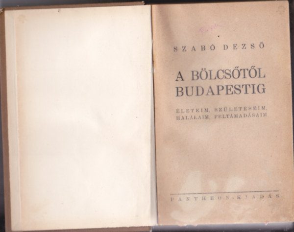Szab Dezs - A blcstl Budapestig - leteim, szletseim, hallaim, feltmadsaim
