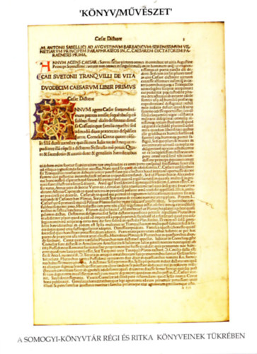 Szőkefalvi-Nagy Erzsébet - Könyv/művészet a Somogyi-könyvtár régi és ritka könyveinek tükrében 2006