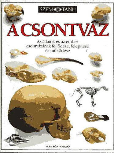 Steve Parker - A csontváz: Az állatok és az ember csontvázának fejlődése, felépítése és működése (Szemtanú sorozat)