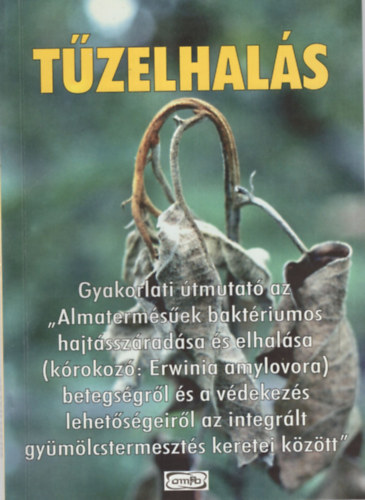 Dr. Dr. Nmeth Jzsef, Sallai Pl Bubn Tams - Tzelhals