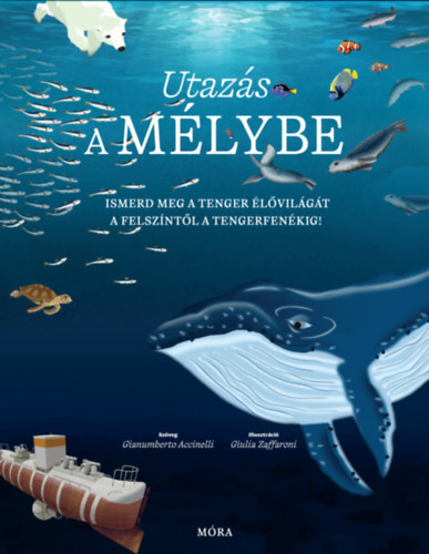 Gianumberto Accinelli - Utaz�s a m�lybe