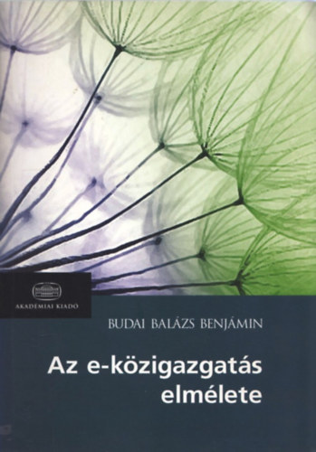 Budai Balzs Benjmin - Az e-kzigazgats elmlete
