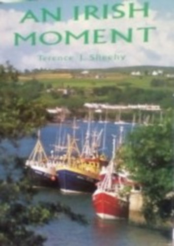 Terence J. Sheehy - An irish moment