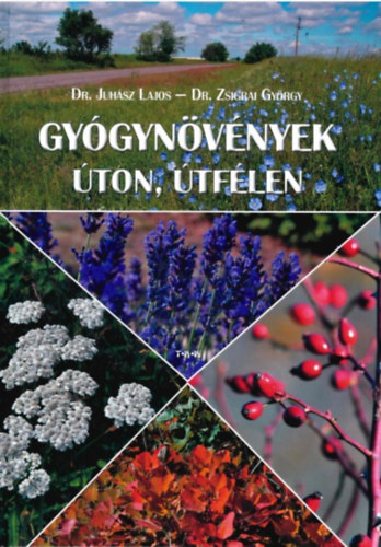 Dr. Dr.zsigrai Gyrgy juhsz Lajos - Gygynvnyek ton, tflen