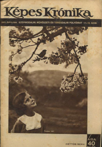 K�pes Kr�nika XVIII. �vfolyam. Sz�pirodalmi, m�v�szeti �s t�rsadalmi foly�irat 17-18. sz�m.