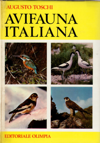 Augusto Toschi - Avifauna italiana- Olasz ornitolgia