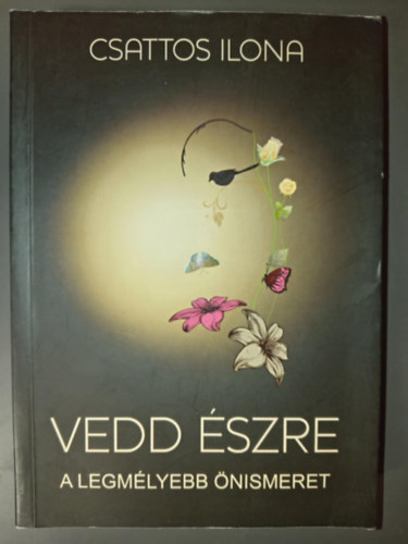 Csattos Ilona - Vedd észre - A legmélyebb önismeret