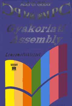 Agárdi Gábor - Gyakorlati Assembly lemezmelléklettel