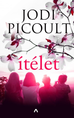 Jodi Picoult - Ítélet