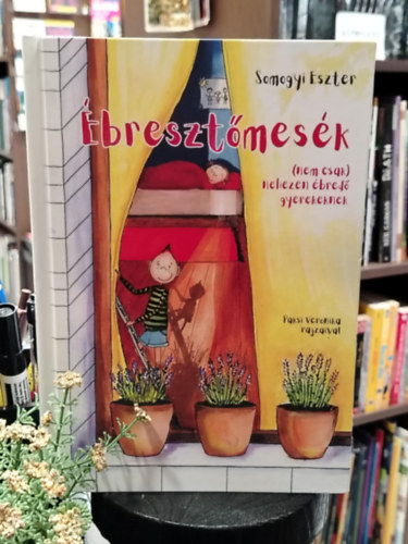 Somogyi Eszter - �breszt�mes�k